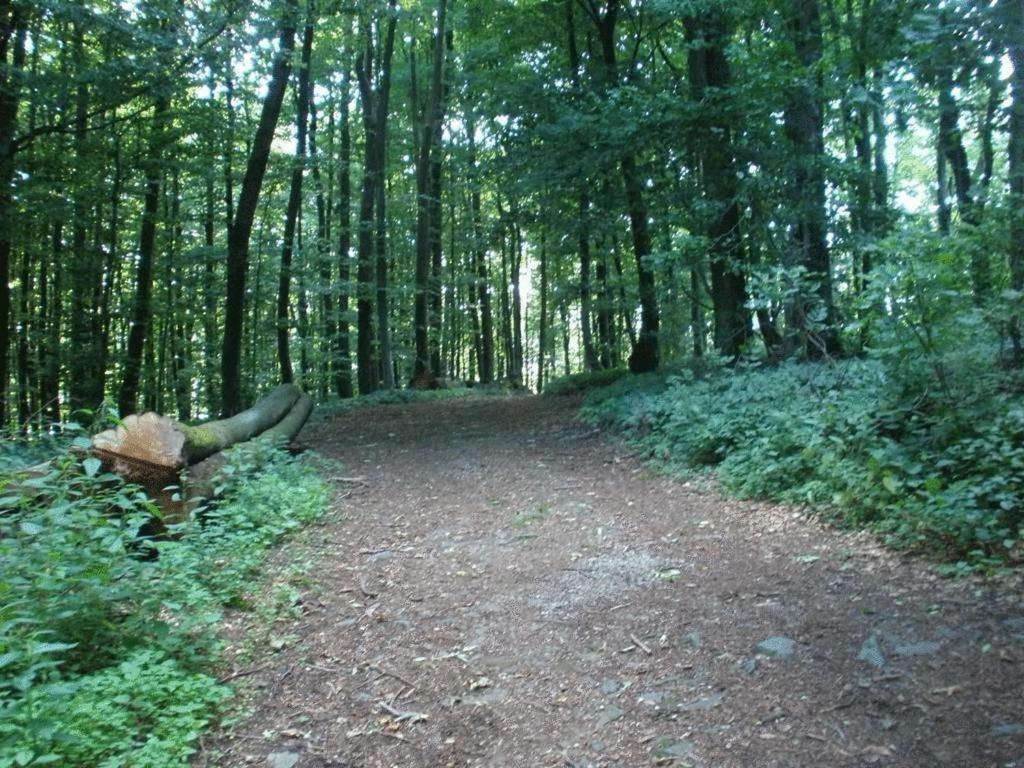 Ferienwohnung Irmgard und Ferienwohnung Gerlinde Waldbrunn  Exterior foto